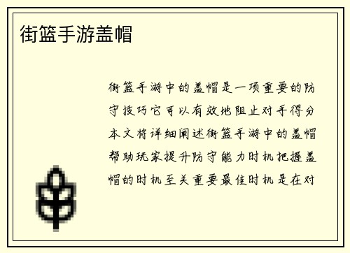 街篮手游盖帽